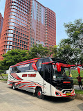 Pool Bus Gaim Trans